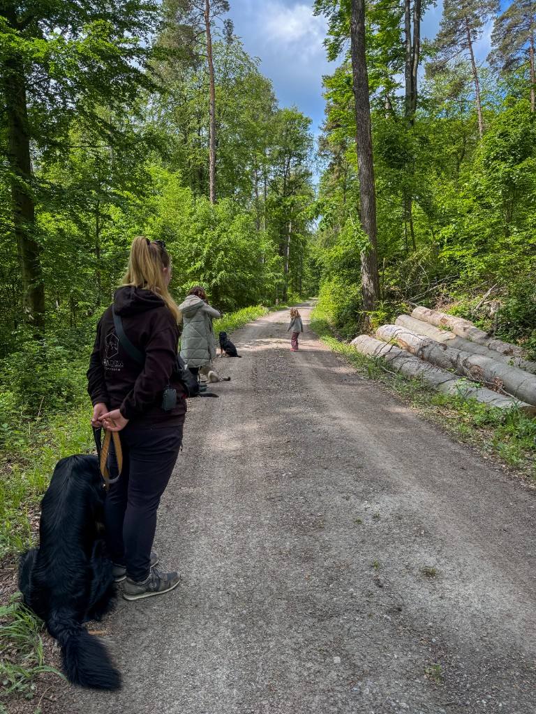 Yvonne Laux führt einen Social Walk im Wald