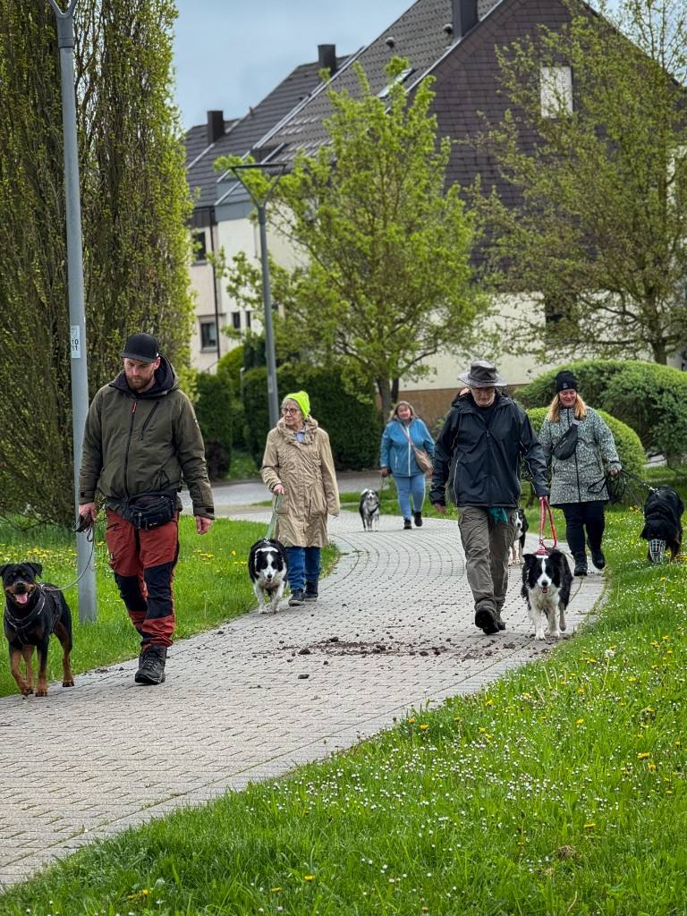 Social Walk in der Gruppe auf dem Weg