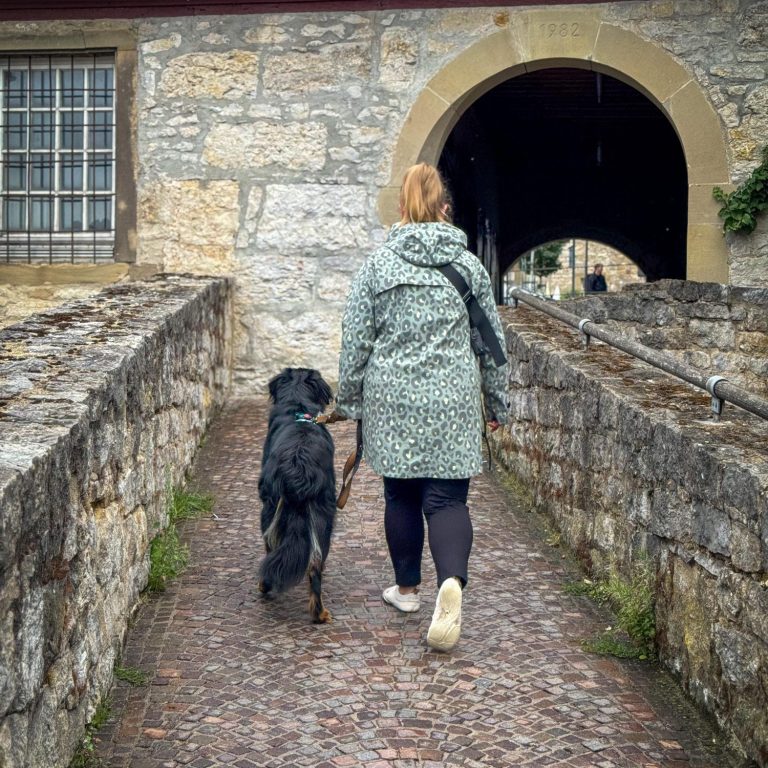 Hundetraining im Alltag